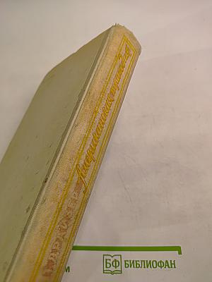 Американская трагедия. Том II