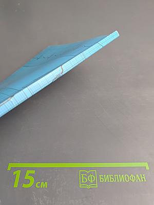 Язвенная болезнь