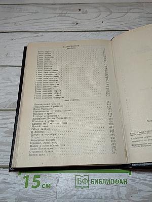 Двойник. Око Осириса