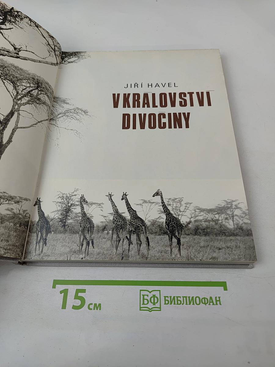 В Королевстве Дикой Природы