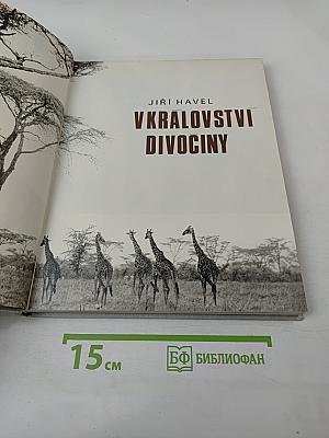 В Королевстве Дикой Природы