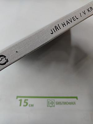 В Королевстве Дикой Природы