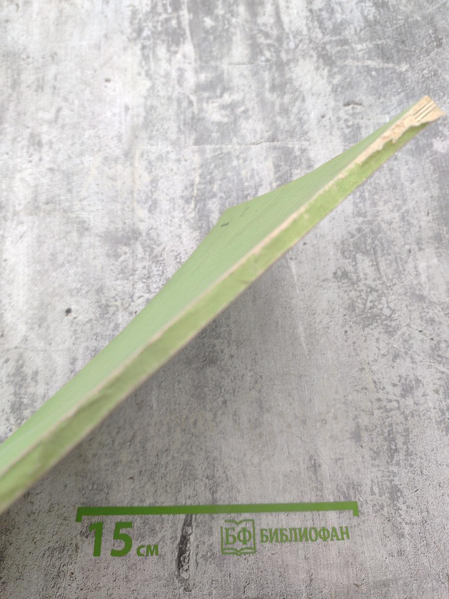 Особенности формирования магнезиально-скарновых магнетитовых месторождений Горной Шории