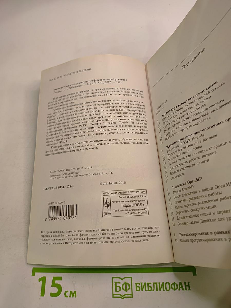 Вычислительные технологии. Профессиональный уровень