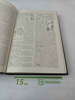 Малая Советская Энциклопедия, Том 4