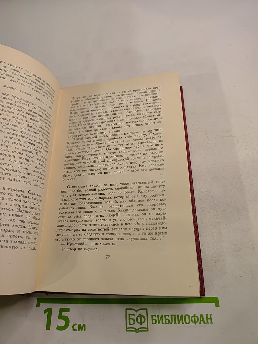 Собрание сочинений. Том шестой. Жан-Кристоф. Книги девятая и десятая