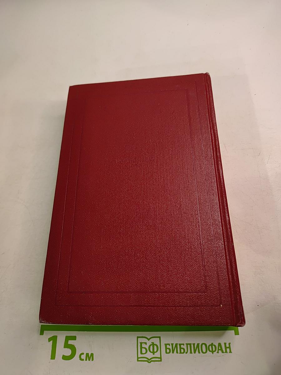 Собрание сочинений. Том тринадцатый. Публицистика (1917–1939)