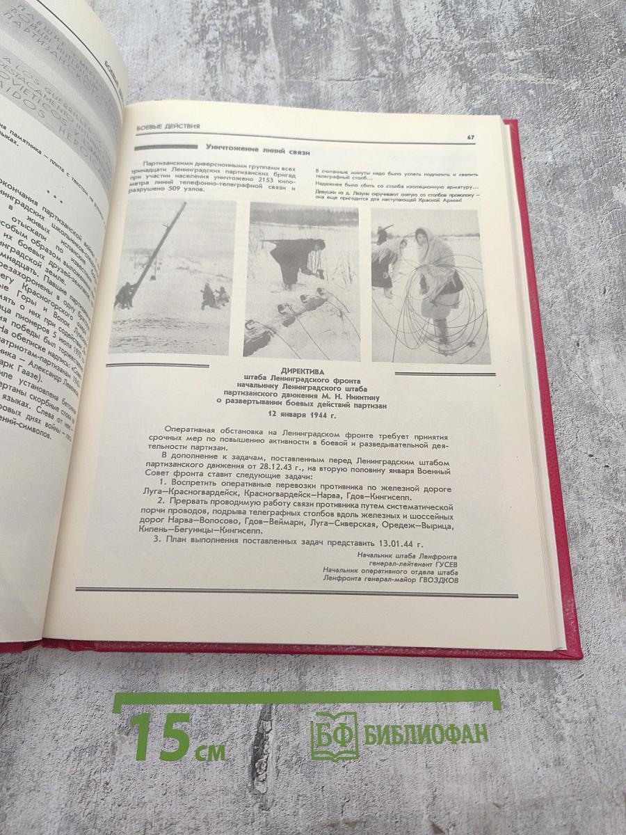 Репортаж из-за линии фронта. Партизанская война в Ленинградской области 1941-1944 гг.