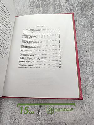 Репортаж из-за линии фронта. Партизанская война в Ленинградской области 1941-1944 гг.