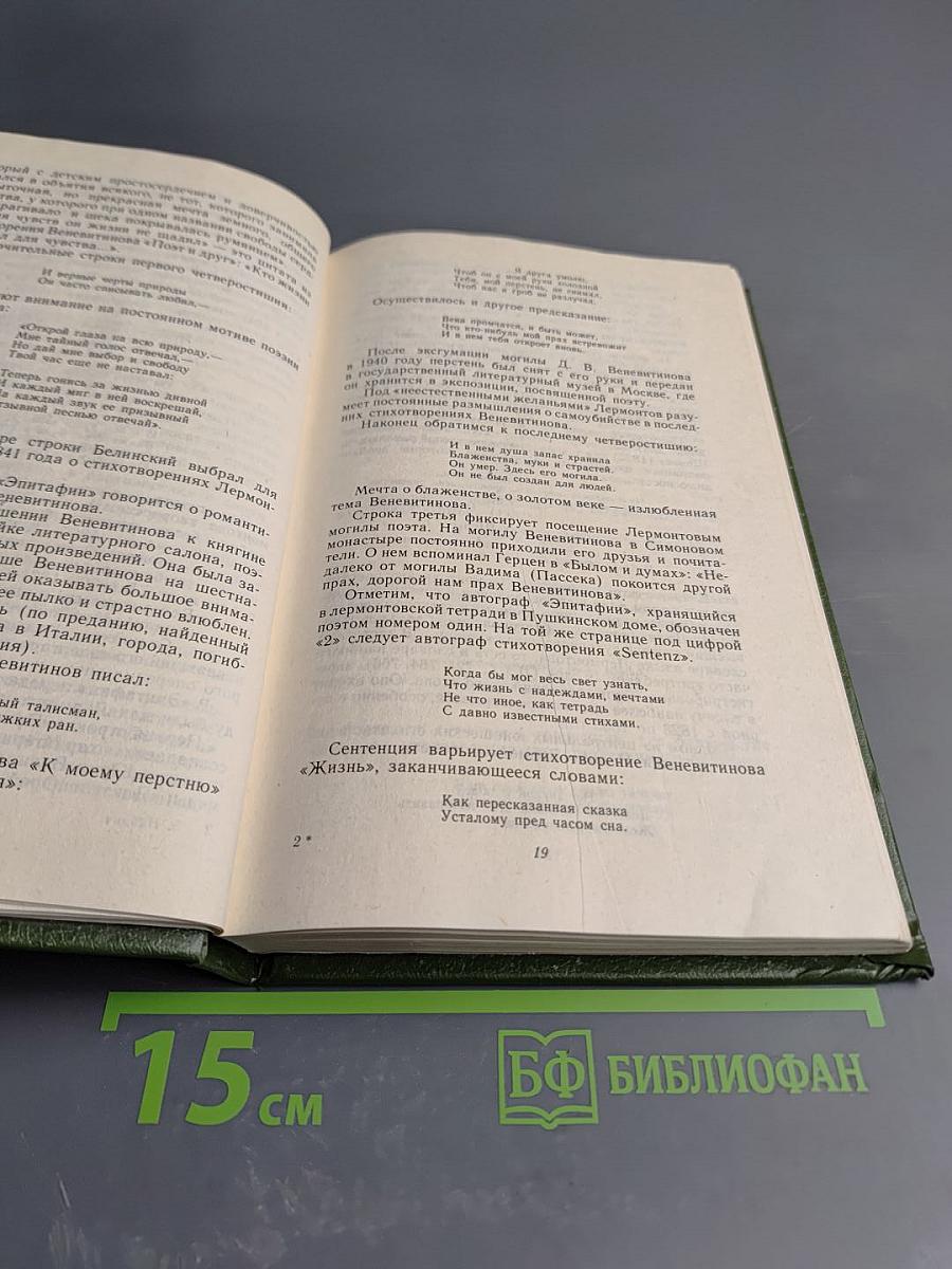 Этюды о Лермонтове