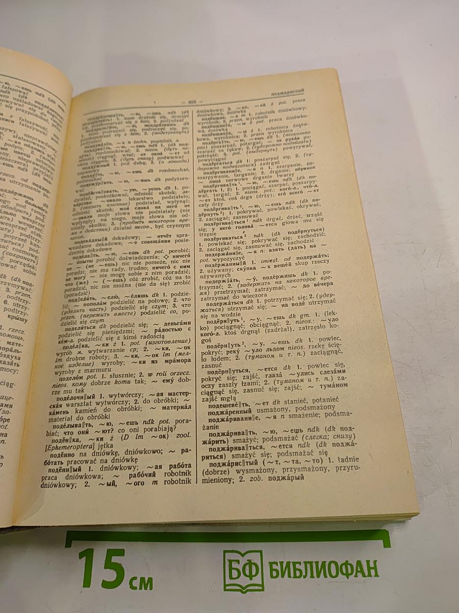 Большой русско-польский словарь. Часть П-Я