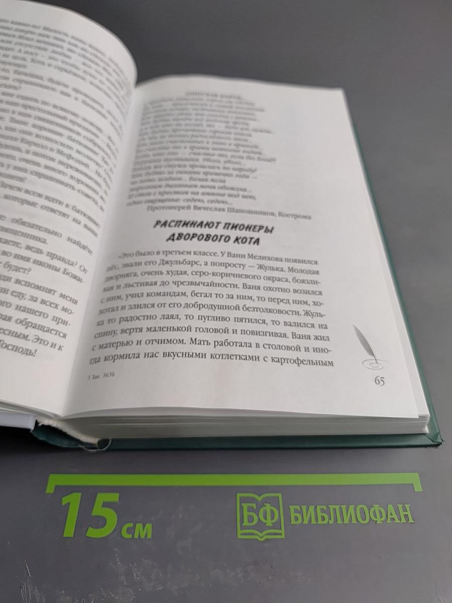 Сундучок воспоминаний. Былинки