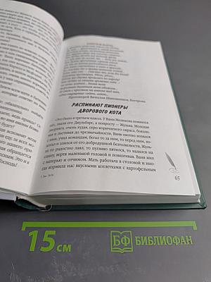 Сундучок воспоминаний. Былинки