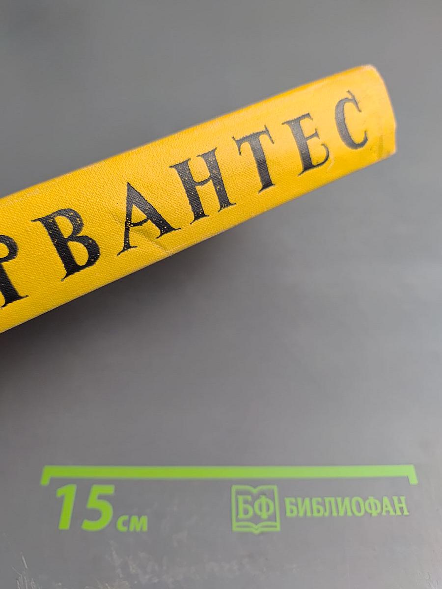 Странствия Персилеса и Сихизмунды. Собрание сочинений в пяти томах. Том пятый