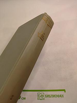 Собрание сочинений. Том второй. Рассказы 1883-1885