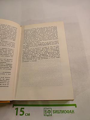 Дон Кихот Ламанчский. Том второй