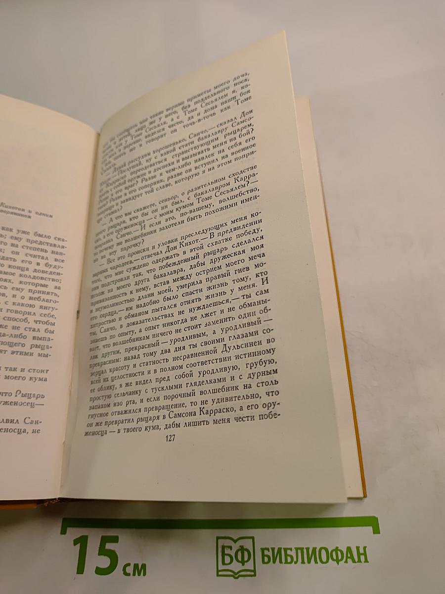 Дон Кихот Ламанчский. Том второй