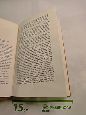 Дон Кихот Ламанчский. Том второй