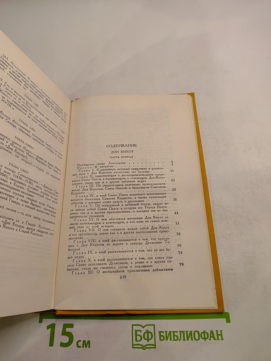 Дон Кихот Ламанчский. Том второй