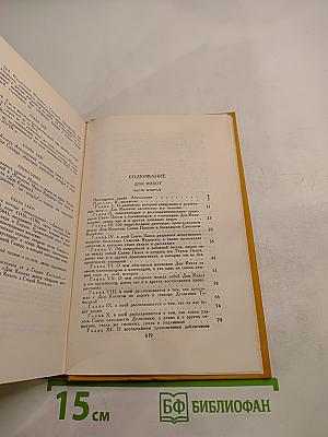Дон Кихот Ламанчский. Том второй
