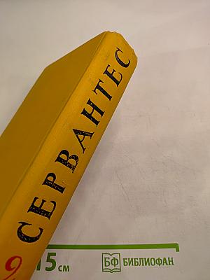 Дон Кихот Ламанчский. Том второй