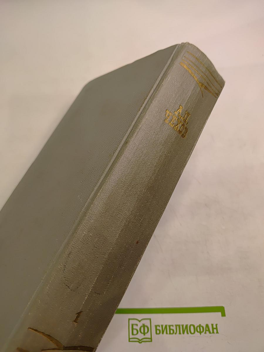 Собрание сочинений. Том первый: Рассказы 1880-1883
