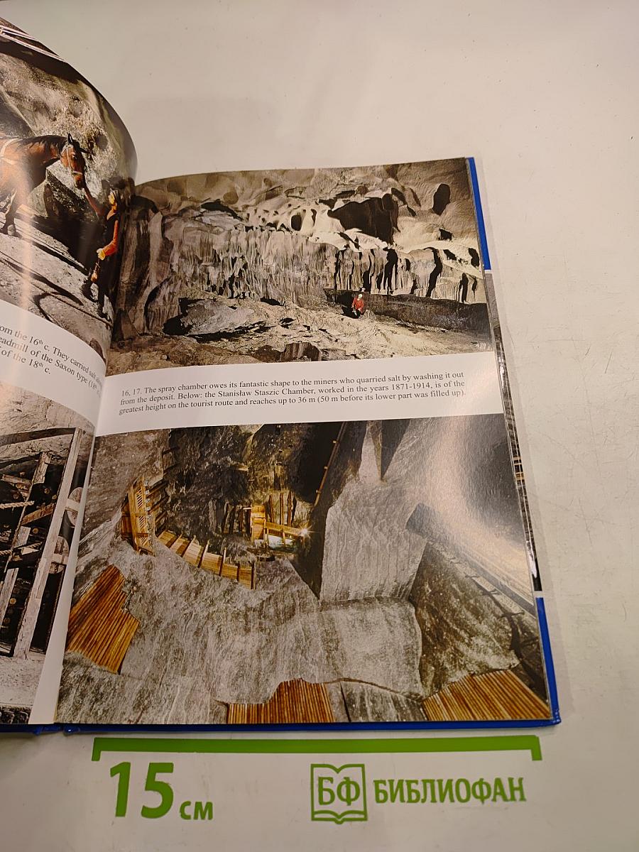 Wieliczka Historic Salt Mine