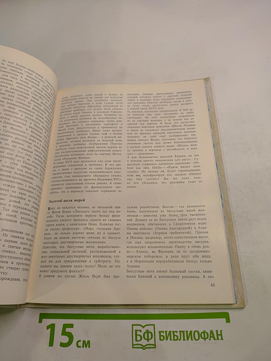 О чем поют ракушки