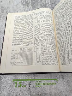 Музыкальная энциклопедия. Том 4: Окунев - Симович