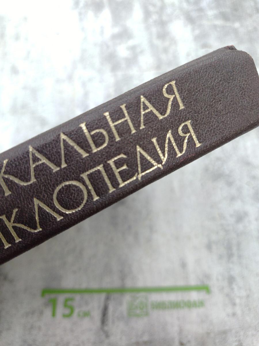 Музыкальная энциклопедия. Том 4: Окунев - Симович