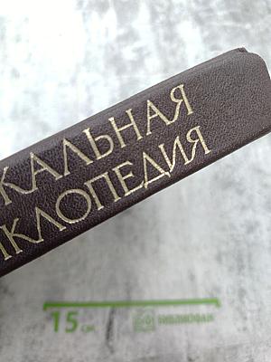 Музыкальная энциклопедия. Том 4: Окунев - Симович