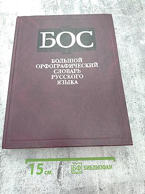 Большой орфографический словарь русского языка