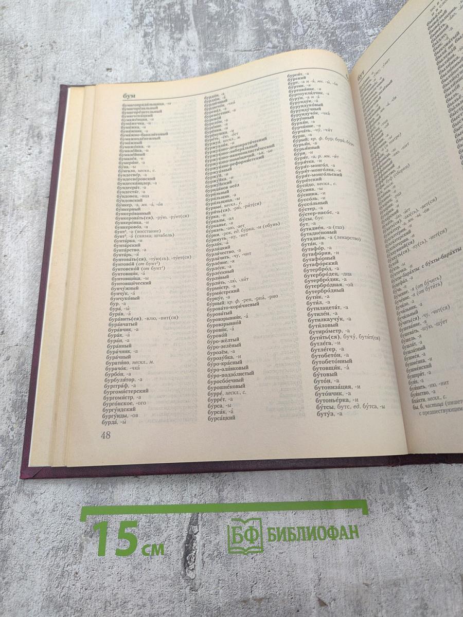 Большой орфографический словарь русского языка