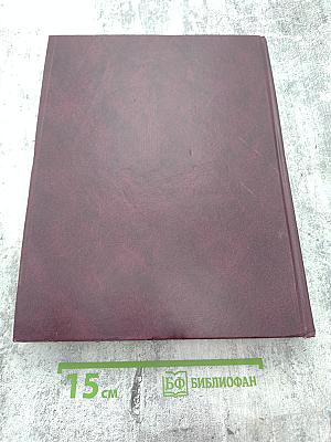 Большой орфографический словарь русского языка