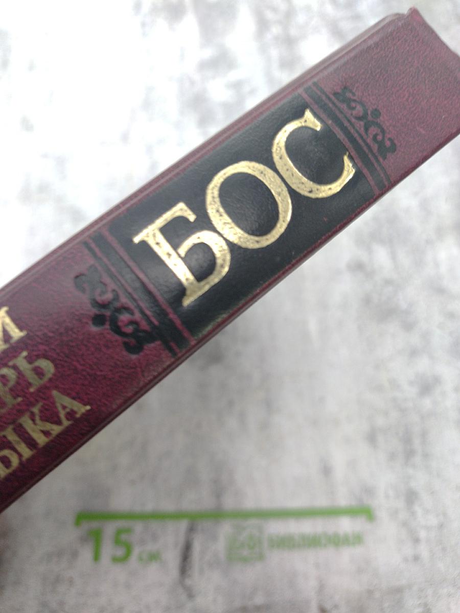 Большой орфографический словарь русского языка