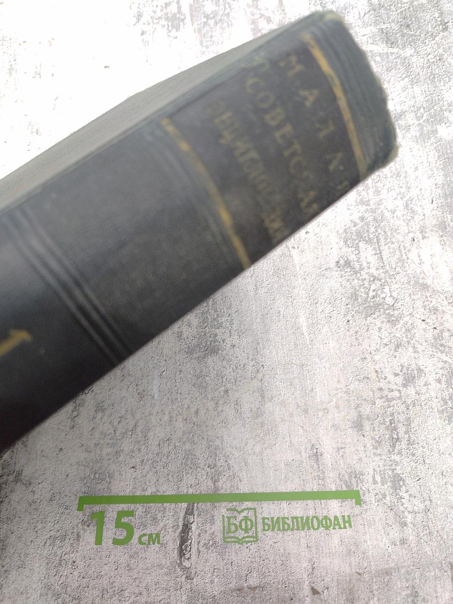 Малая советская энциклопедия. Том 1: А - Буковина