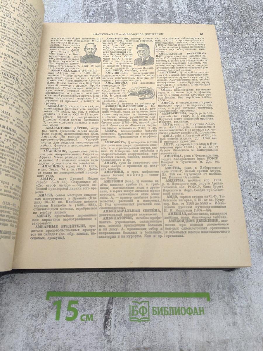 Энциклопедический словарь. Том 1 (А-Й)