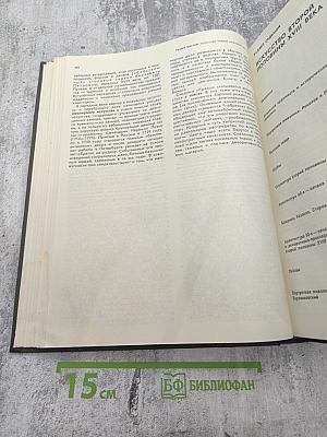 История русского искусства. Том первый. Искусство X — первой половины XIX века