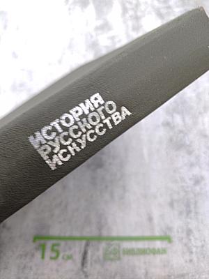 История русского искусства. Том первый. Искусство X — первой половины XIX века