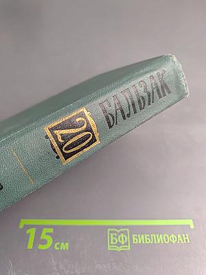 Собрание сочинений в 24 томах. Том 20. Человеческая комедия