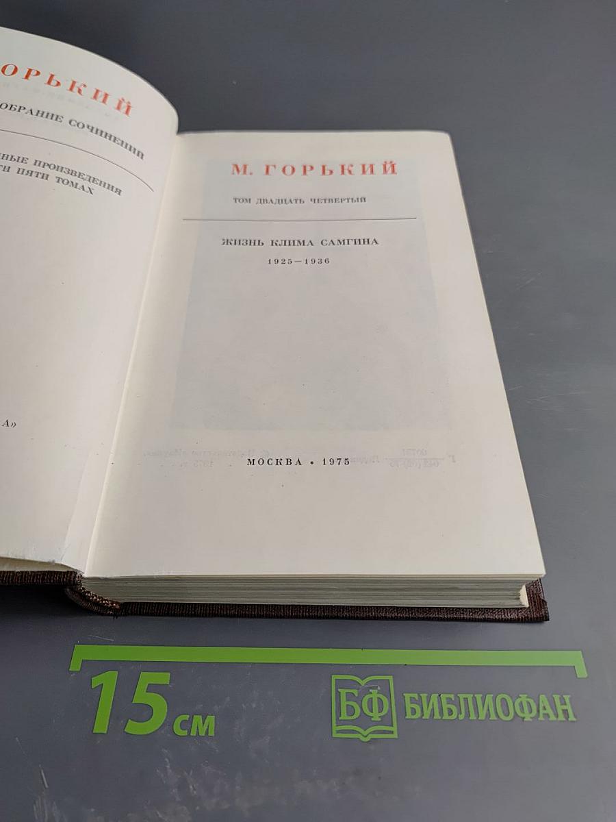 Жизнь Клима Самгина. Том двадцать четвертый