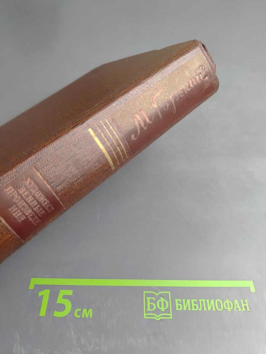 Жизнь Клима Самгина. Том двадцать четвертый