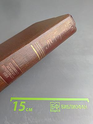 Жизнь Клима Самгина. Том двадцать четвертый