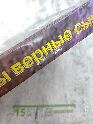 Отчизны верные сыны