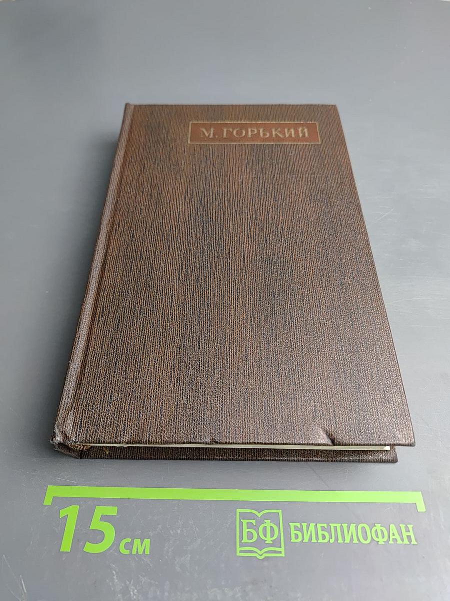 Собрание сочинений. Том восемнадцатый. «Дело Артамоновых». Рассказы и наброски 1922-1928