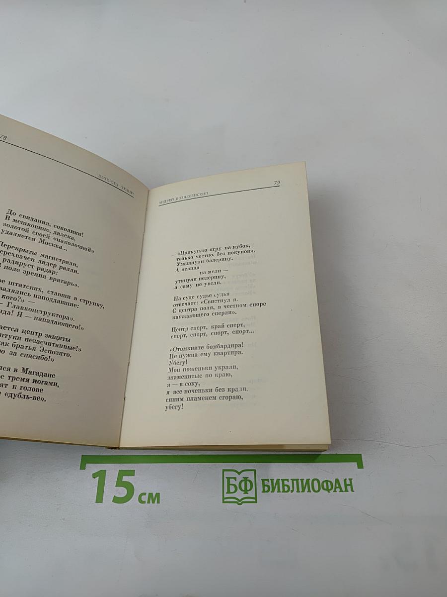 Выпусти птицу!