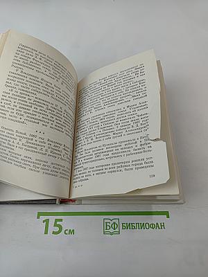 Семья Ульяновых в Петербурге-Петрограде