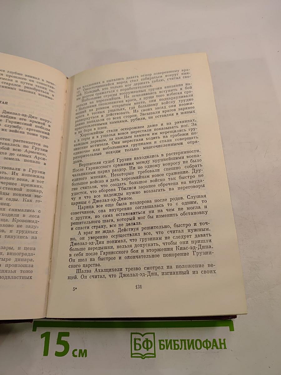 Том второй: Долгая ночь. Потне, или Падение и возвышение Грузии