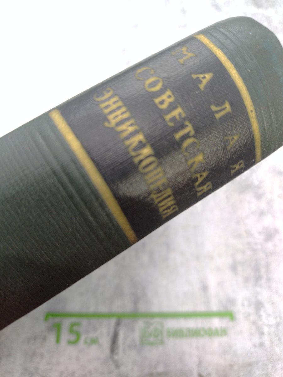 Малая Советская Энциклопедия. Третье издание. Том 2: Буковые - Горияк