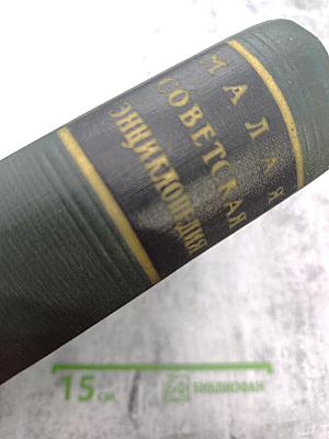 Малая Советская Энциклопедия. Третье издание. Том 2: Буковые - Горияк